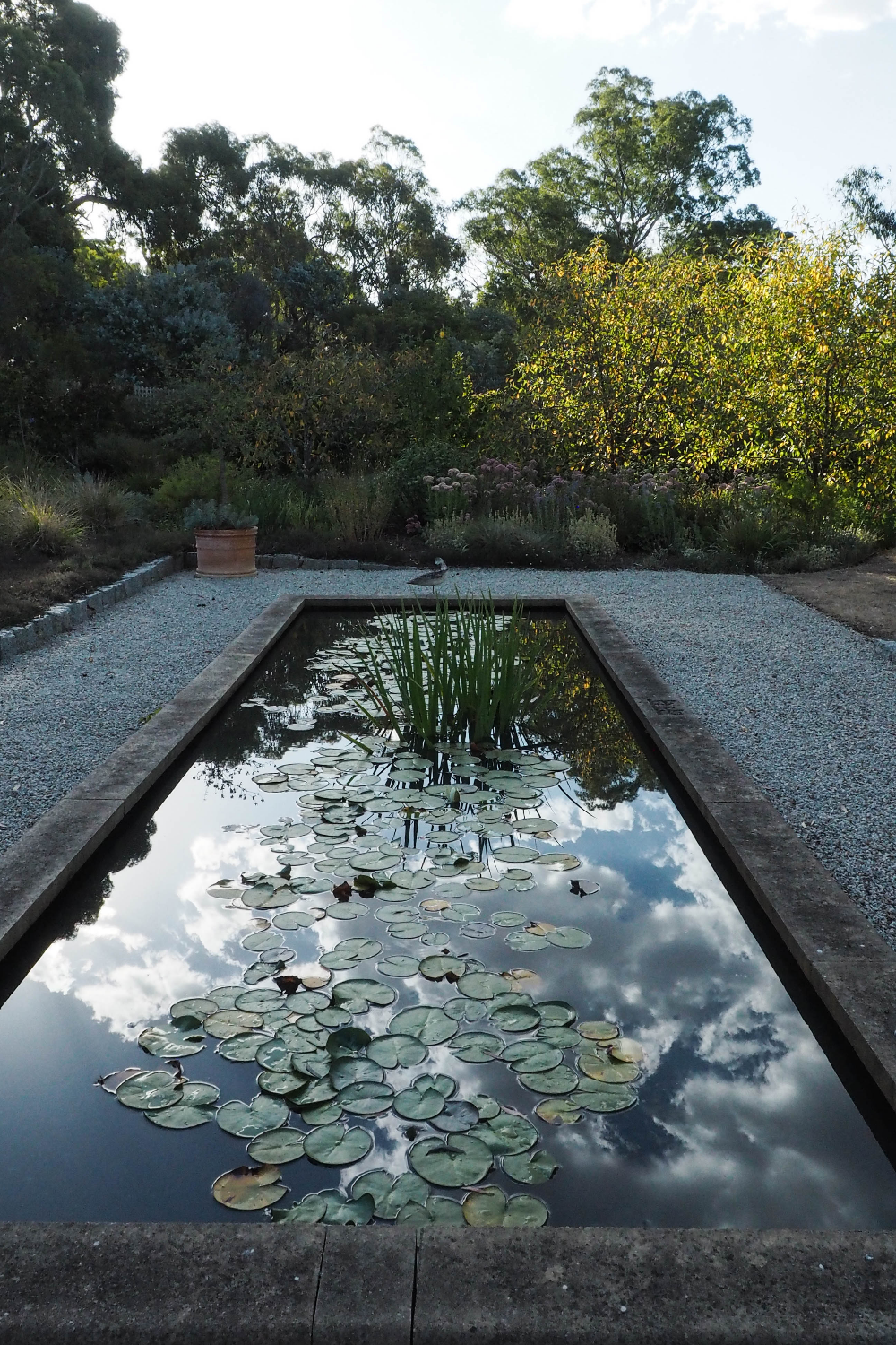 Formal Pond Maltby Aquatics Pond Aquarium Design