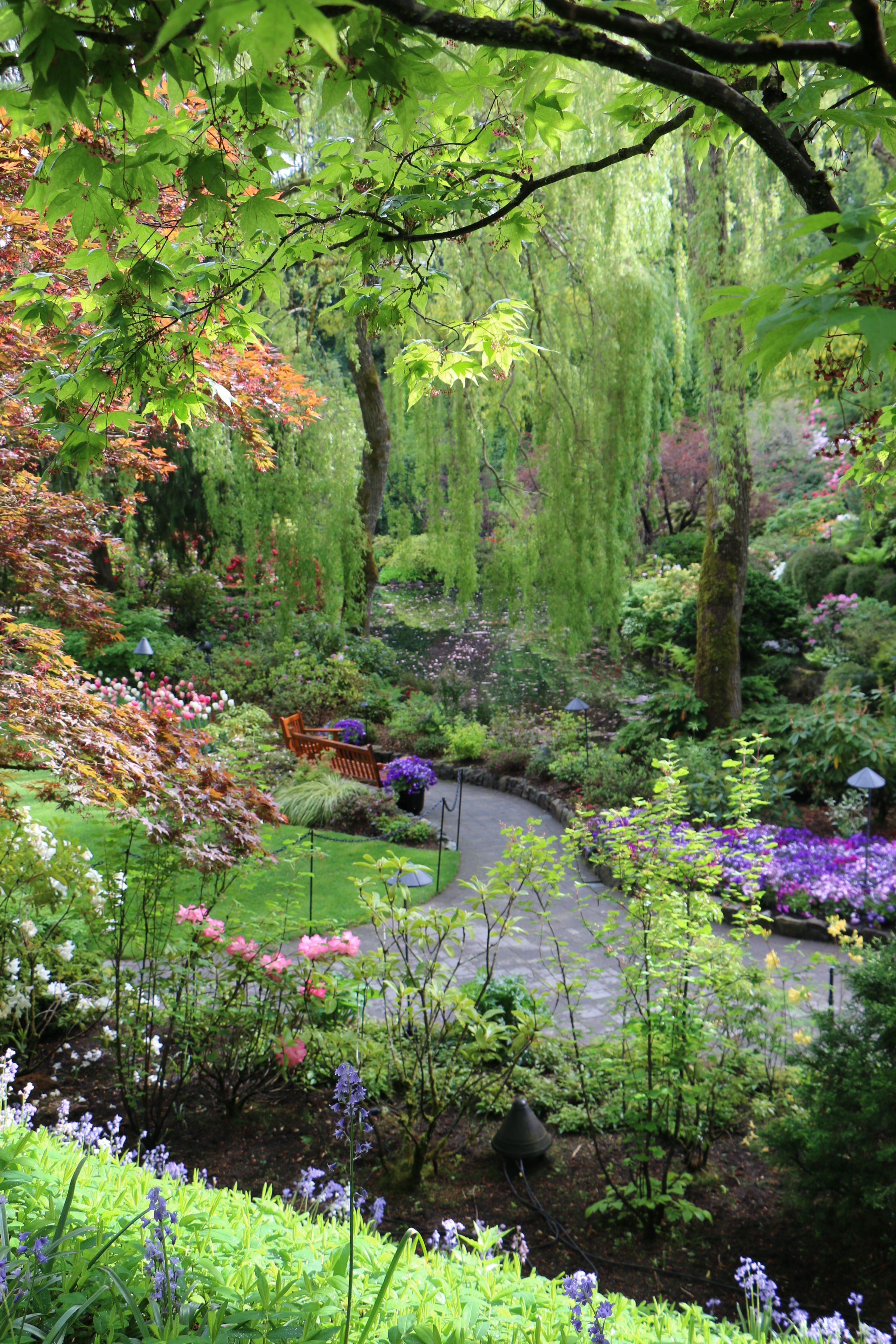 Top Beautiful Backyard Designs