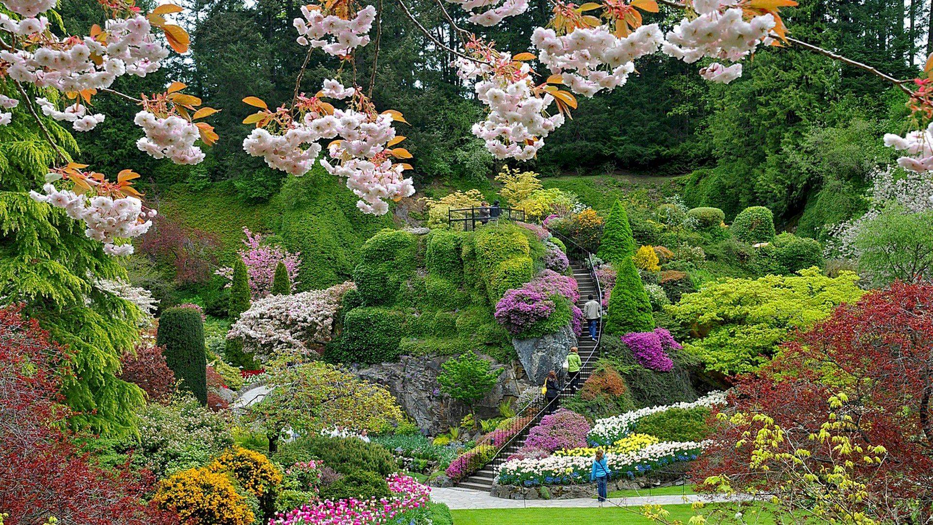 Butchart Gardens Tour