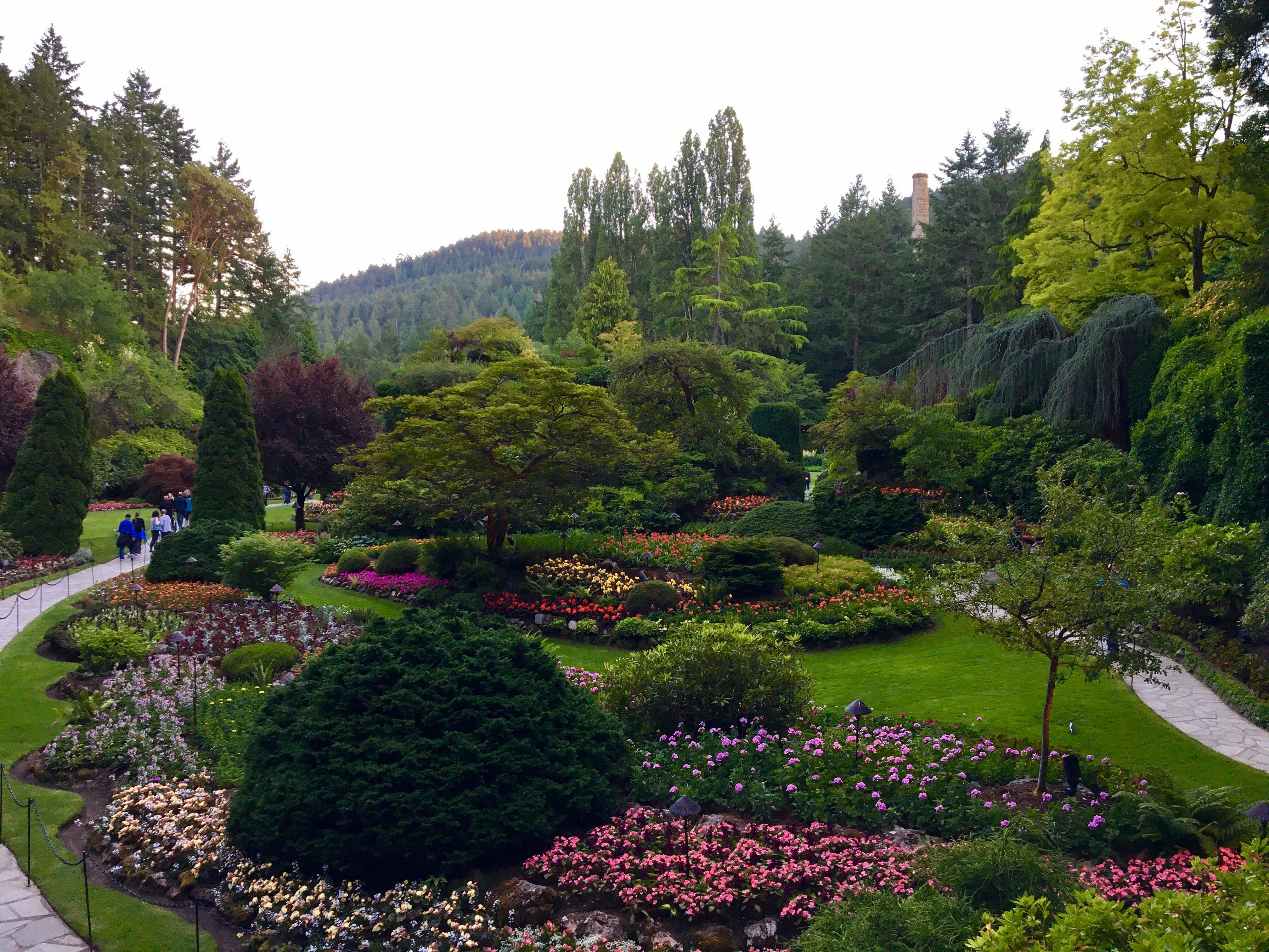Butchart Gardens Victoria B C I Acutally Visited Here Butchart Gardens