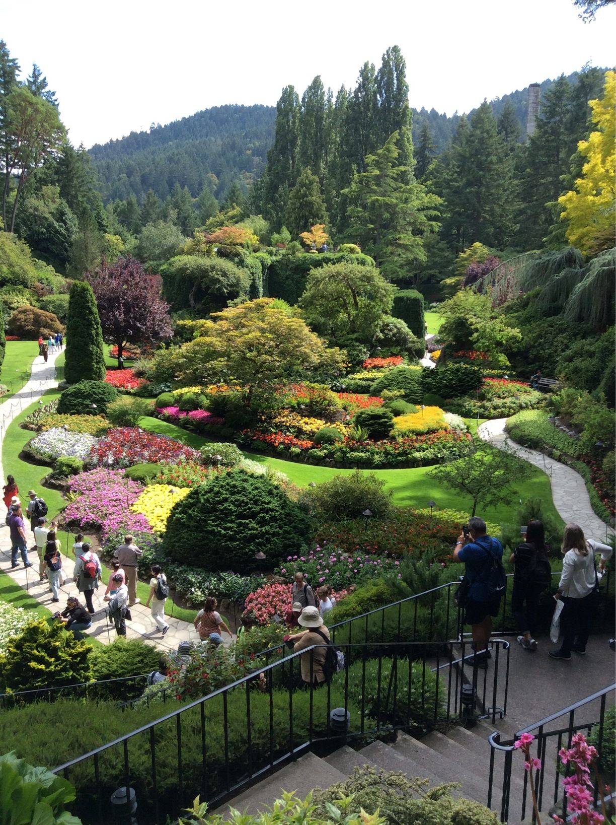 Butchart Gardens
