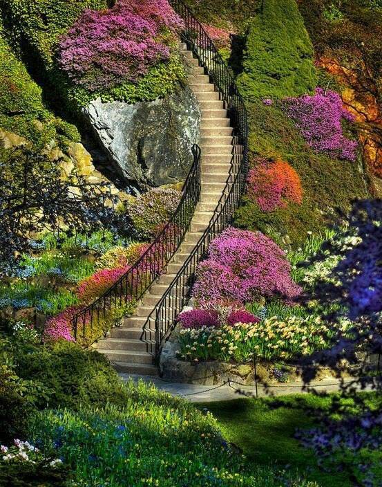 Beautiful Gardens