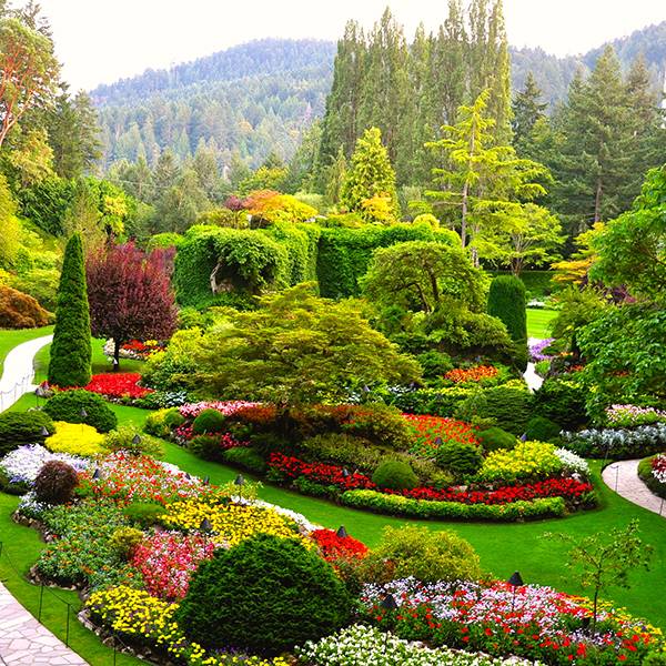 The Butchart Gardens