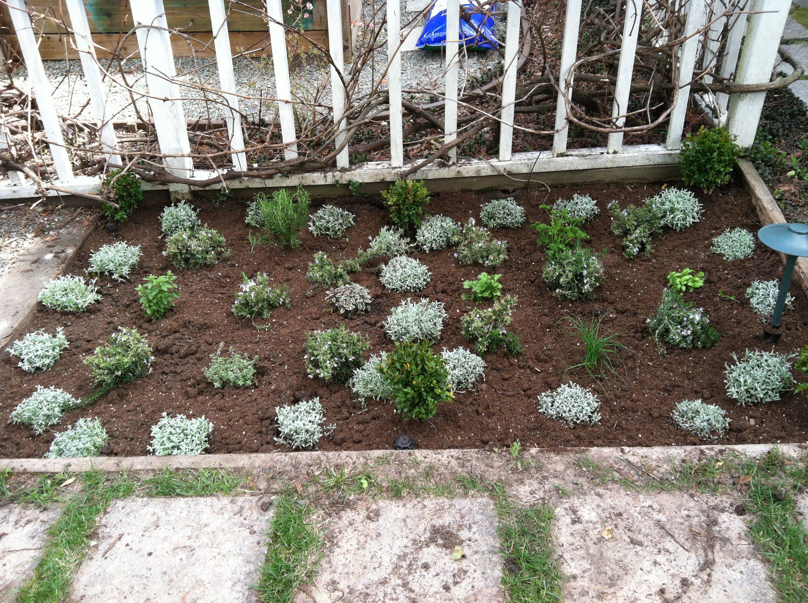 21 Herb Knot Garden Ideas Worth to Check SharonSable