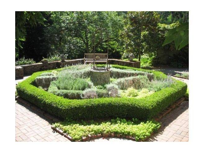 Knot Garden Design Ideas