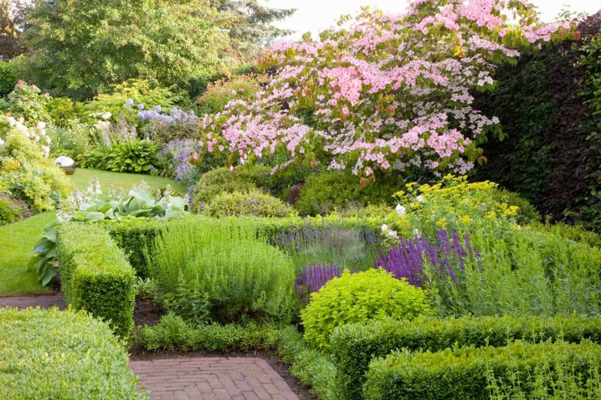 Knot Garden Design Ideas