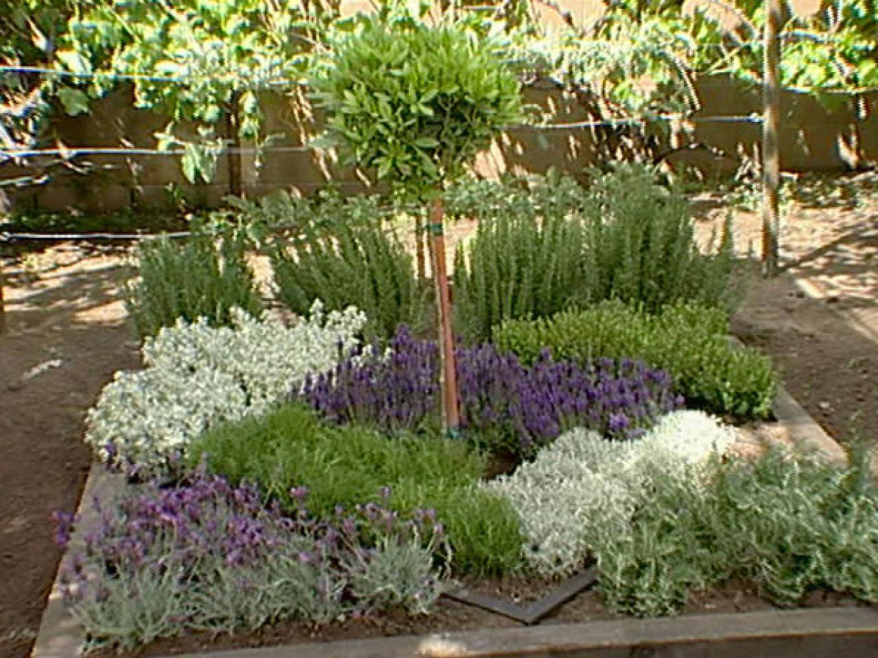 Physic Garden Inspiration Formal Garden Design