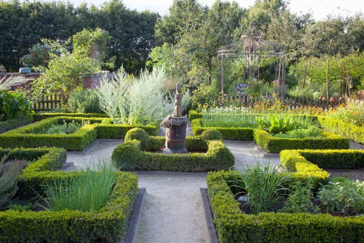 Garden Home Party Front Garden