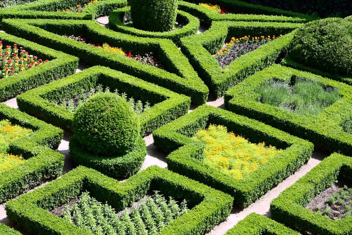 Knot Garden Design Tudor Knot Garden Flickr Photo Sharing