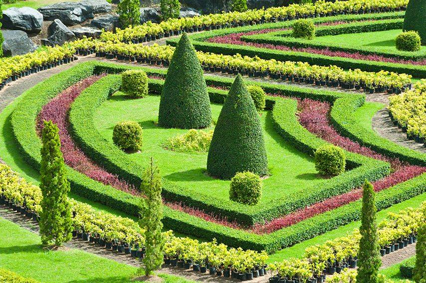 Miniature Knot Garden Mini Garden