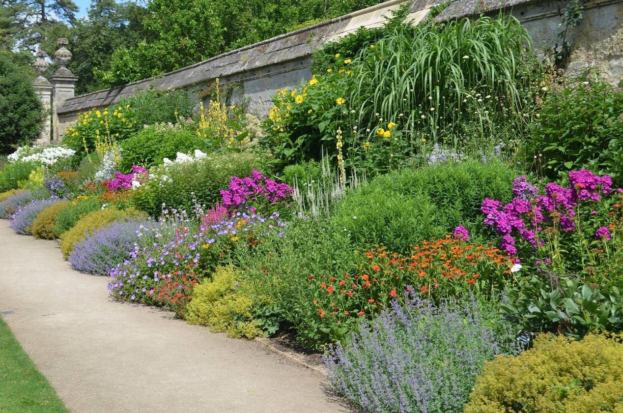 26 English Garden Border Plants Ideas To Consider SharonSable