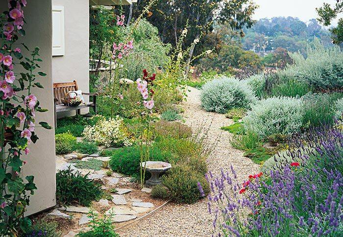 Low Maintenance Landscape Front Yard Lavenderfront