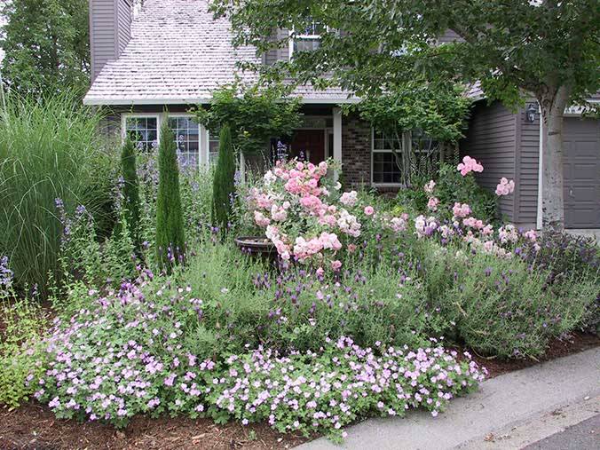 Landscape Lavender Home Design Ideas