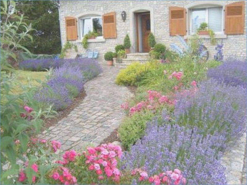 Lavender Garden Lavender Garden