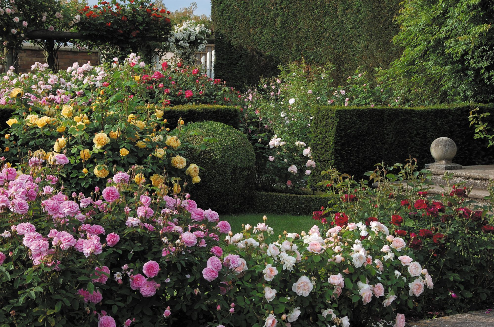 Amazing Backyard Rose Garden Ideas