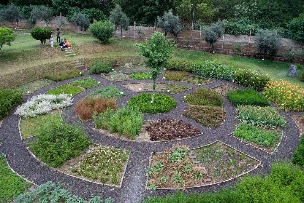 Formal Herb Garden Layout Google Search Herb Garden Design