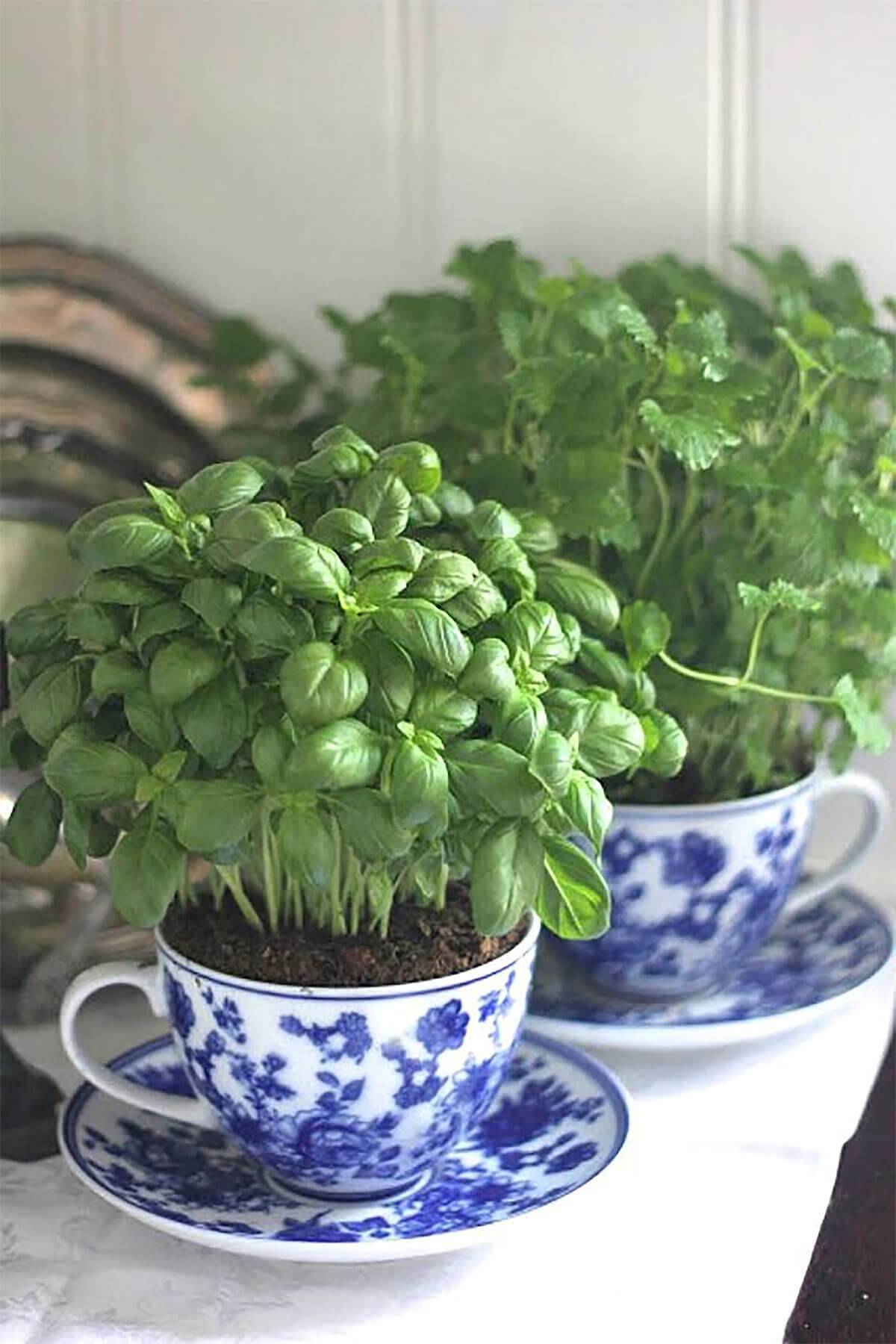 Best Herb Garden Ideas