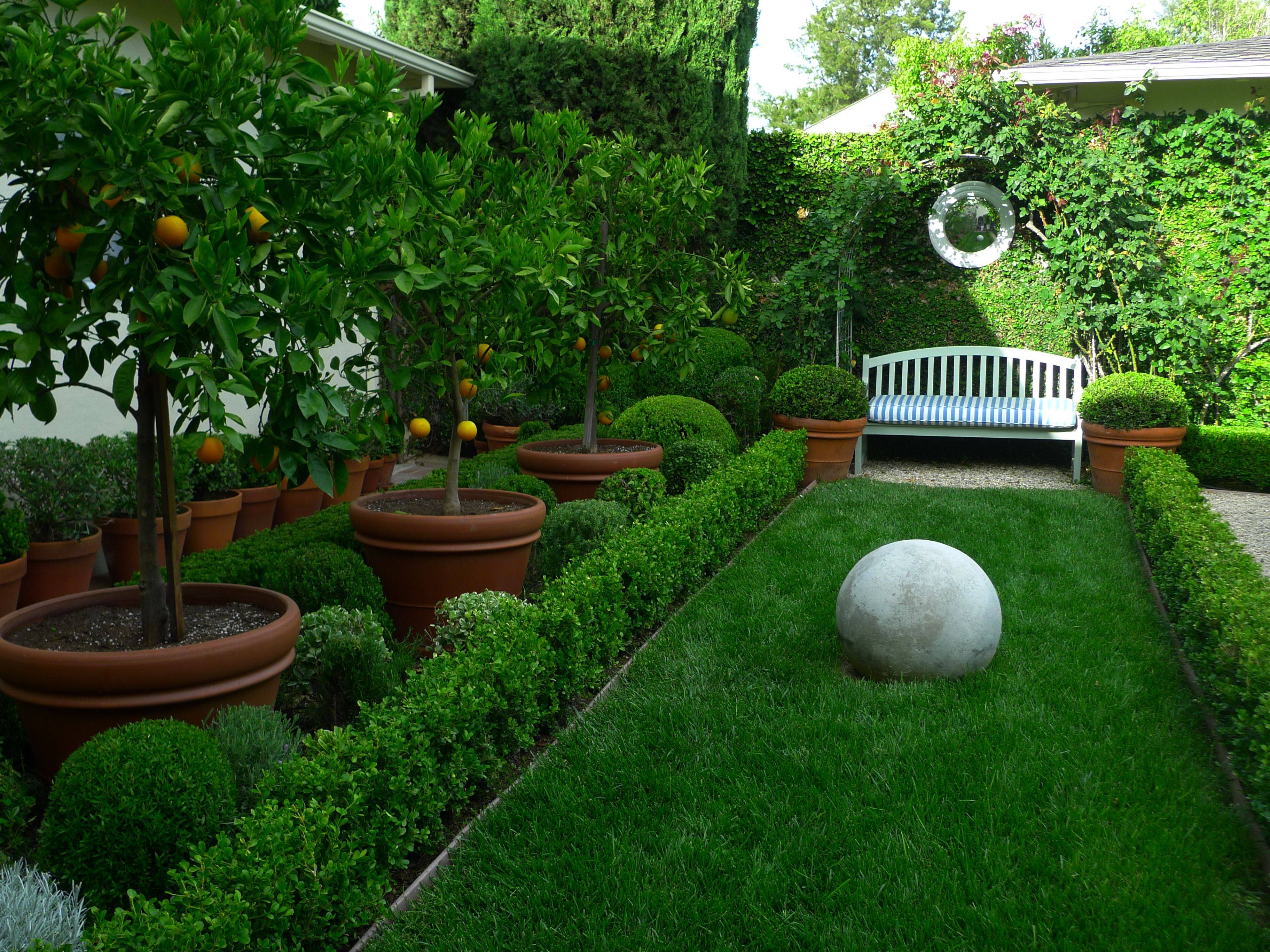 Brilliant Fruit Trees Gardening Ideas Small Backyard