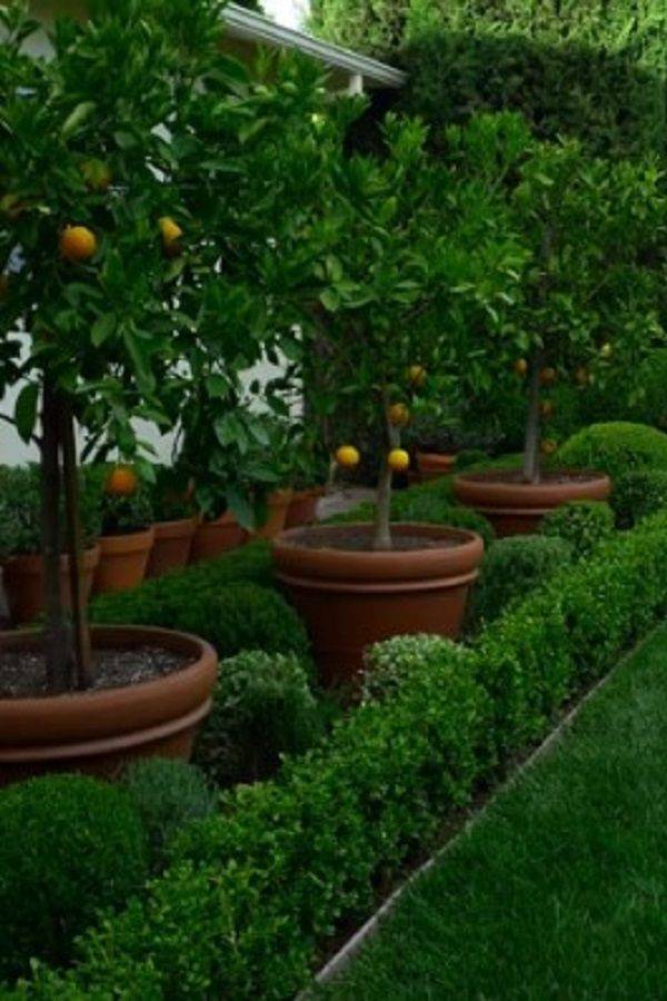 Backyard Landscaping Garden Ideas