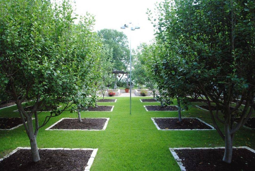 Fruit Trees Garden Design