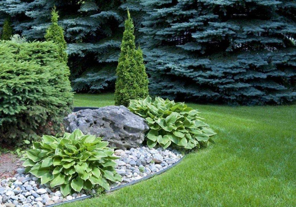 Elegant Evergreen Vines Home Decor Ideas