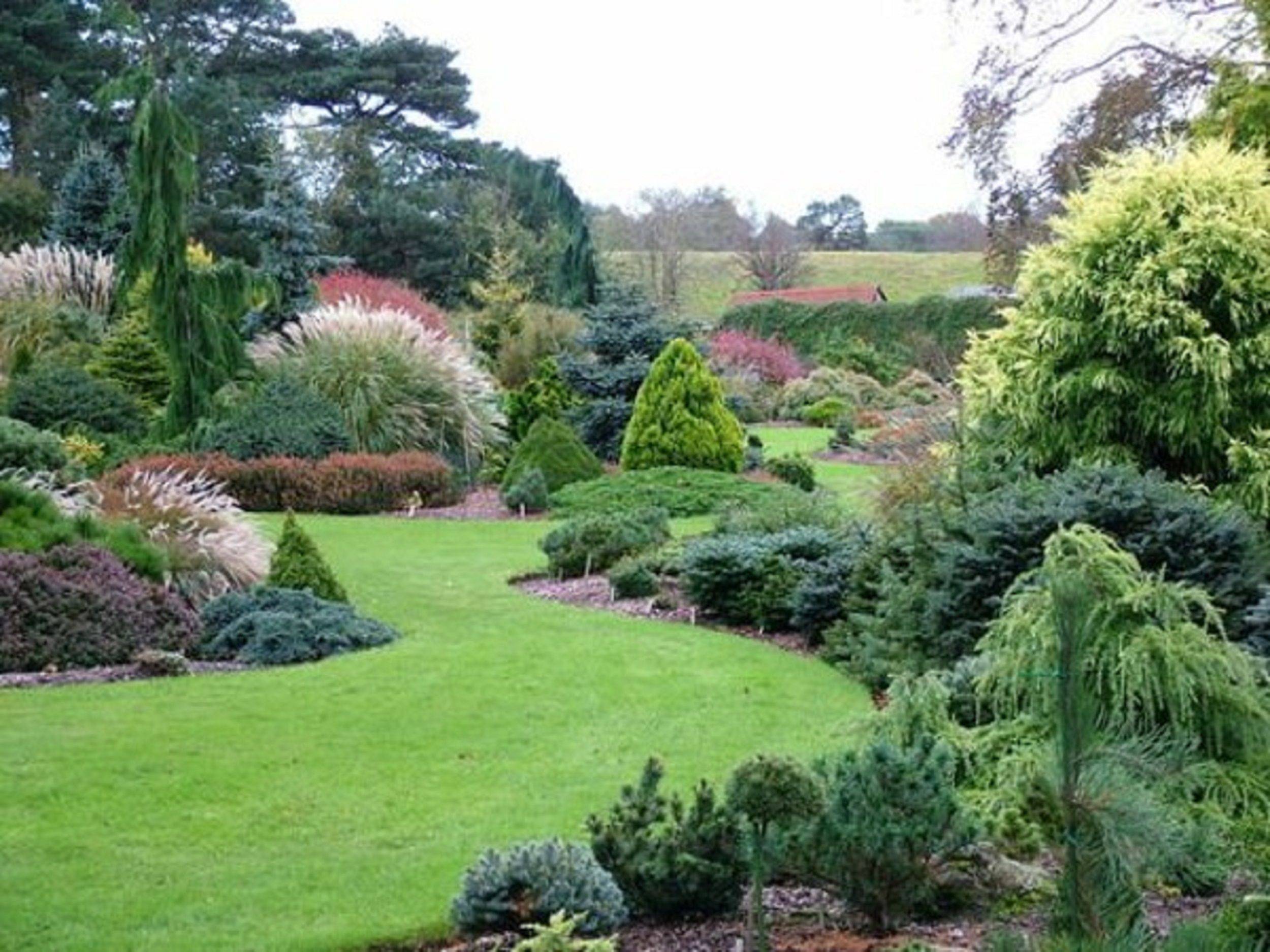 Evergreen Landscape Garden