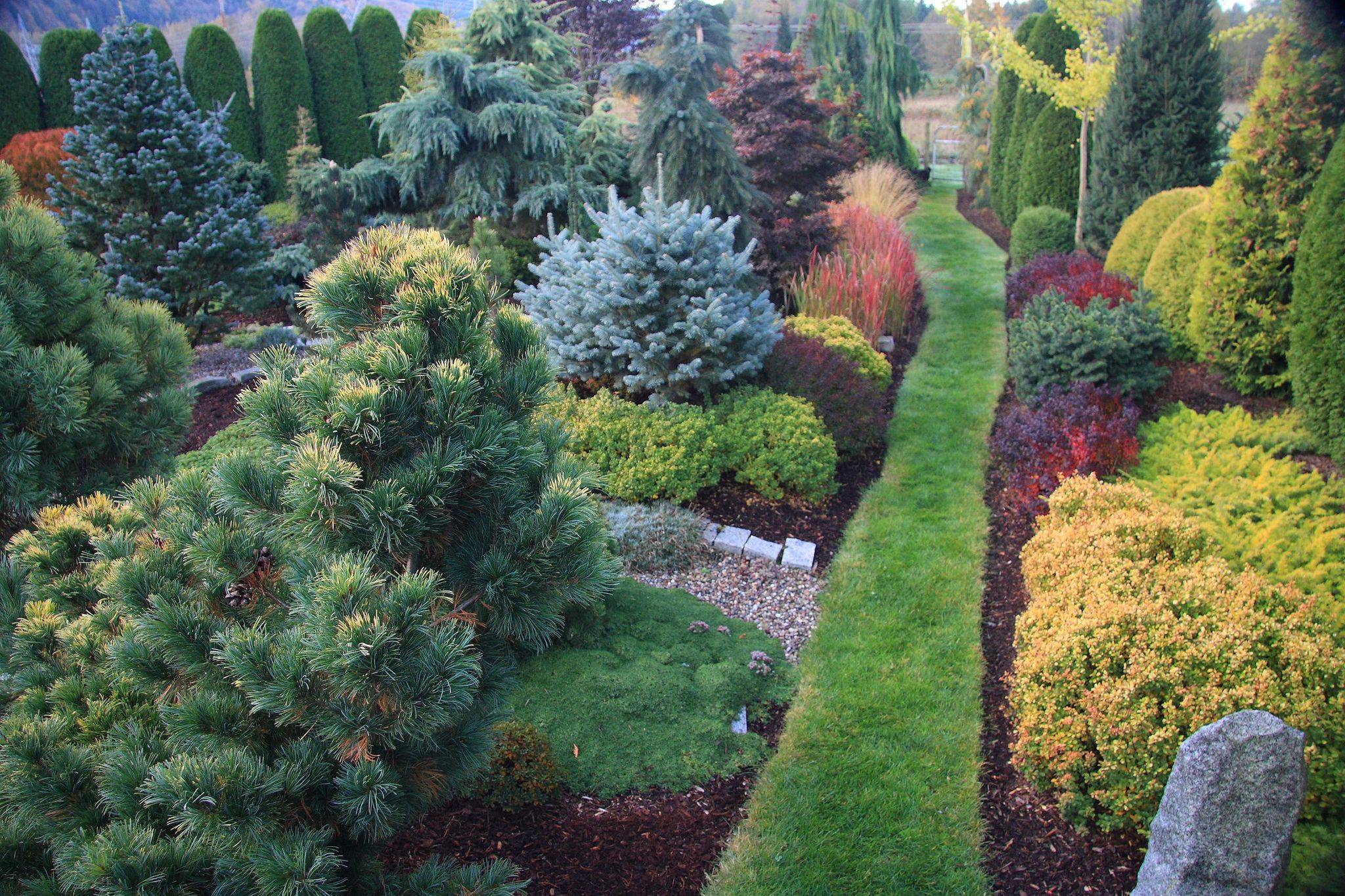 Adorable Beautiful Front Yards And Backyard Evergreen Garden Design