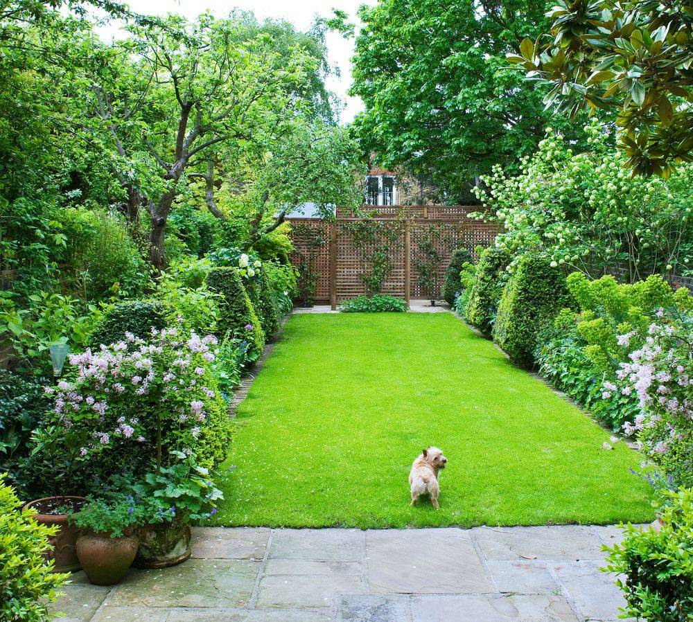Narrow Town Garden Success