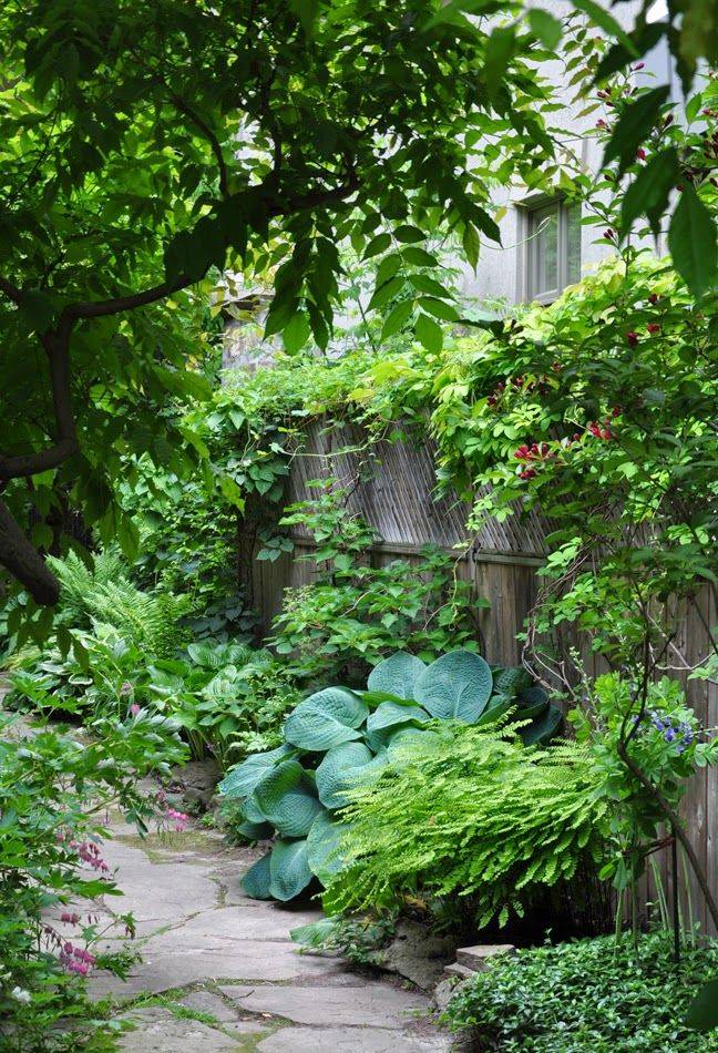 Narrow Town Garden Success