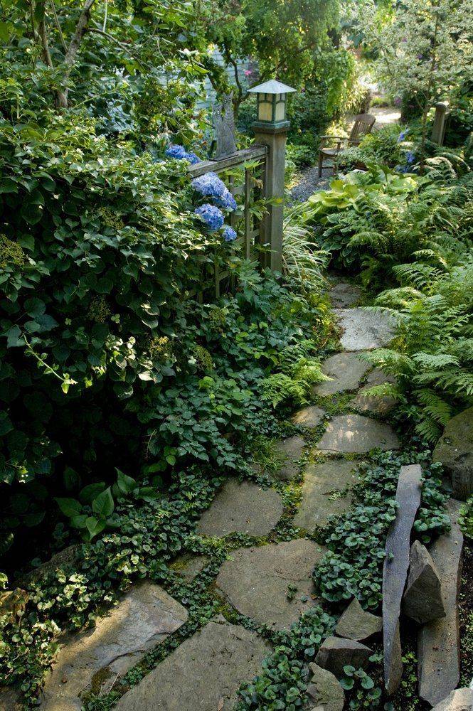 Backyardlandscapedesign Narrow Garden