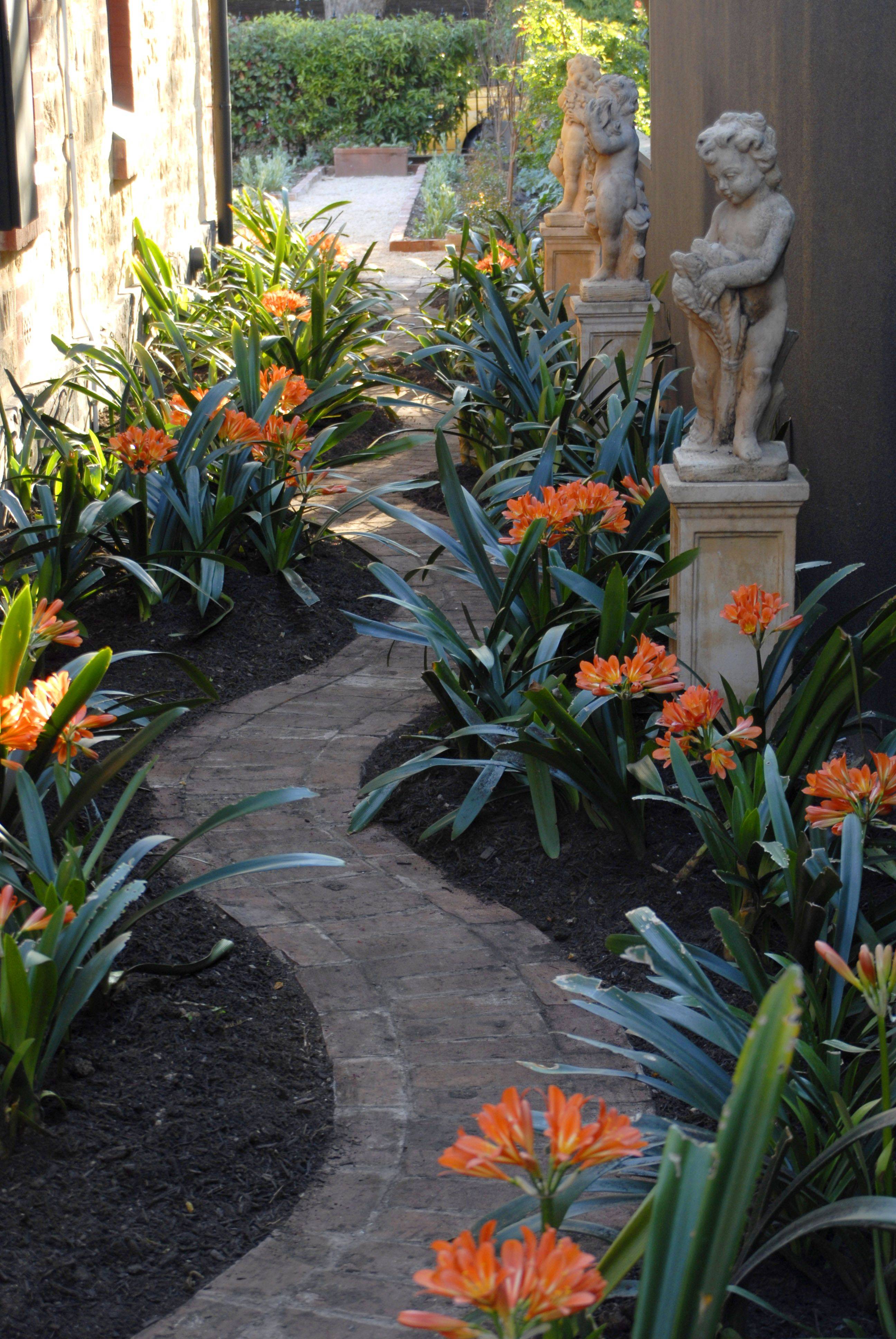 Side Yard Landscaping