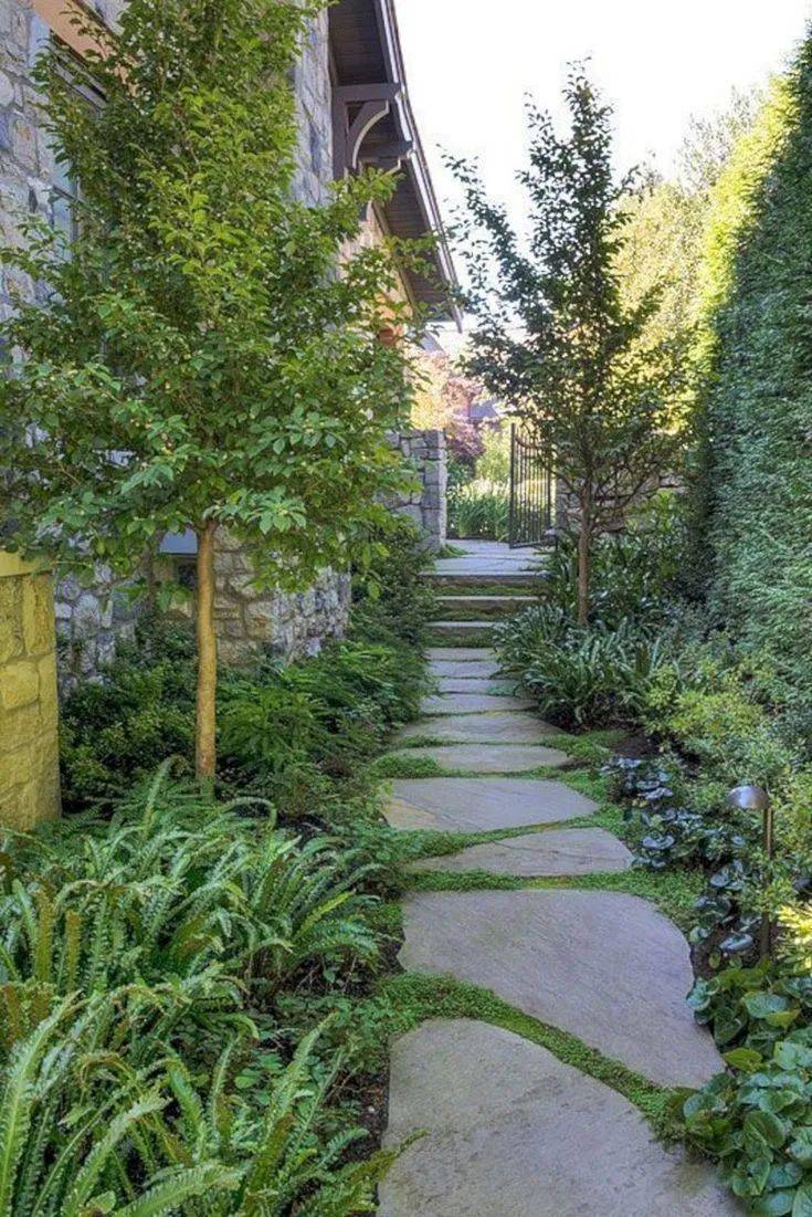 The Narrow Garden