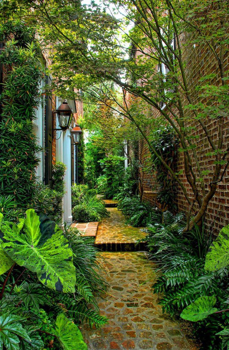 Narrow Shade Garden Garden Pathway