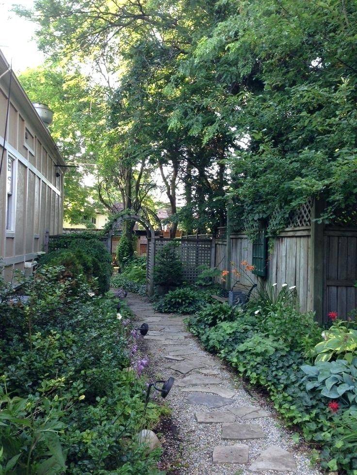 Long Narrow Backyard