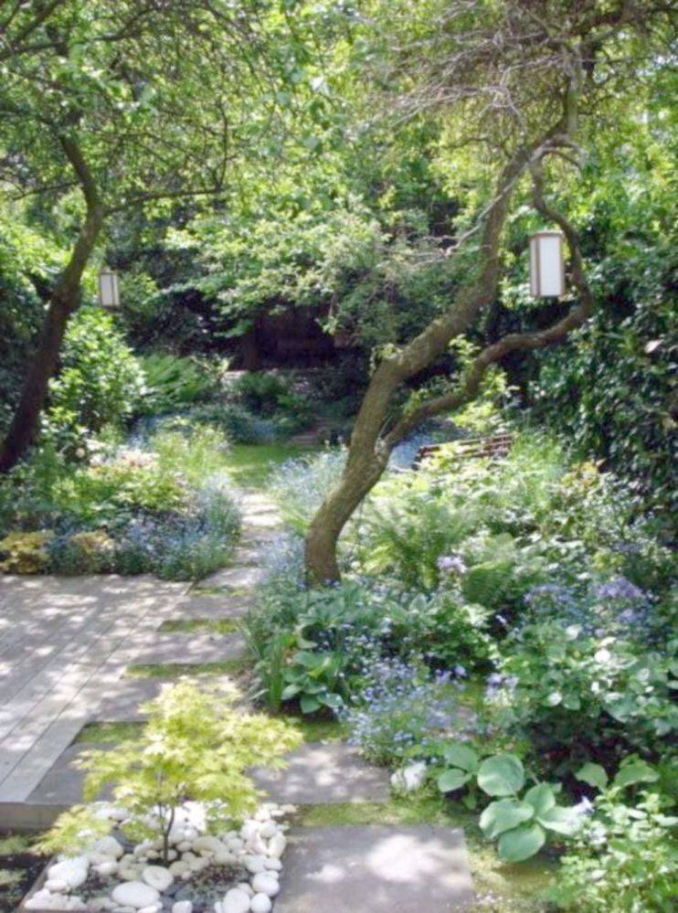 Google Search Small Courtyard Gardens
