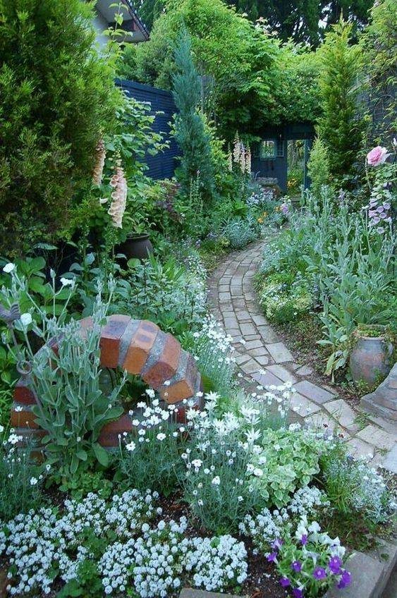The Narrow Garden