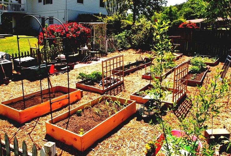 Square Foot Garden Planner