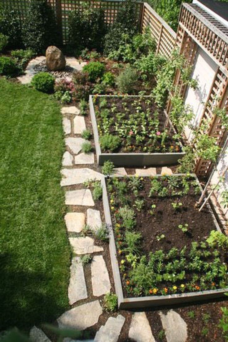 Vegetable Garden Layout