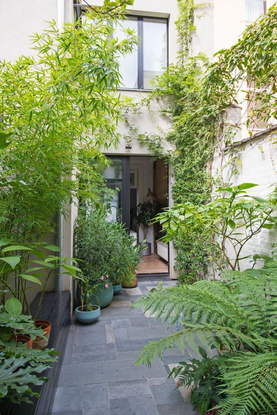 Townhouse Garden Ideas