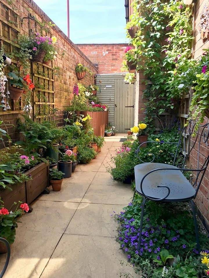 Landscape Ideas