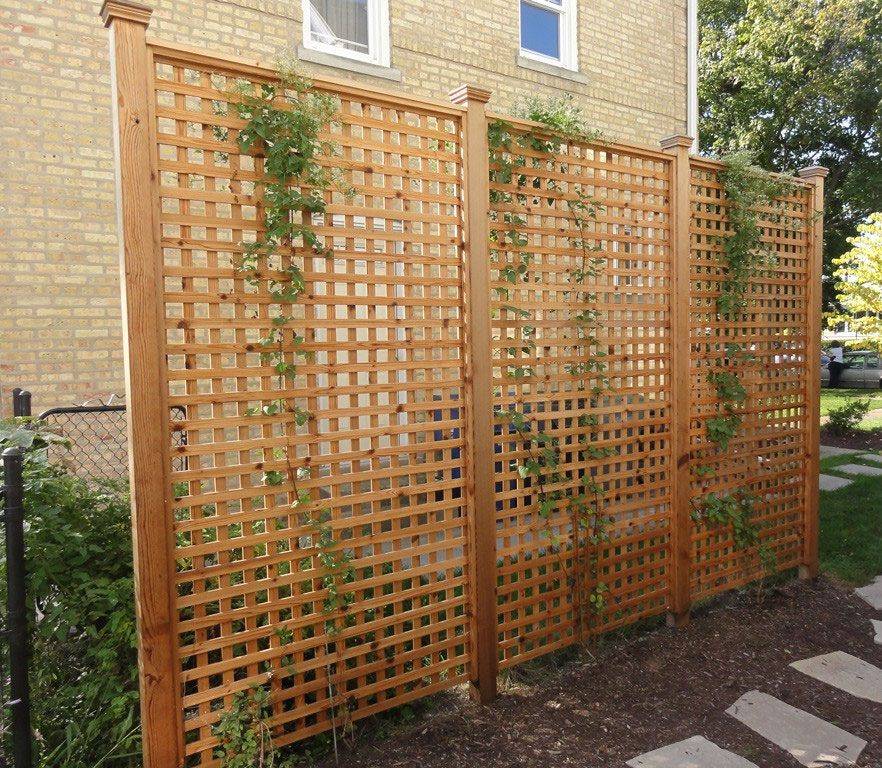 Diy Outdoor Privacy Screen Ideas Remodel