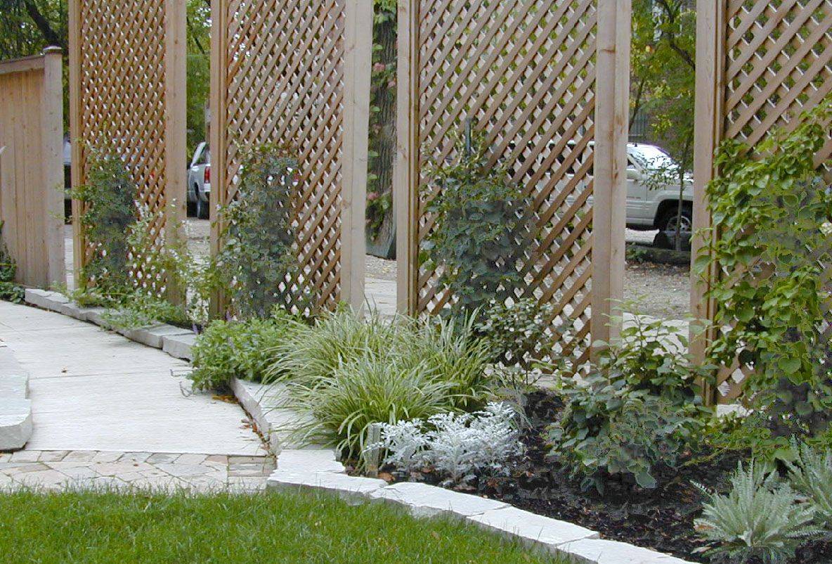 Outdoor Eucalyptus Configurable Privacy Screen Trellises