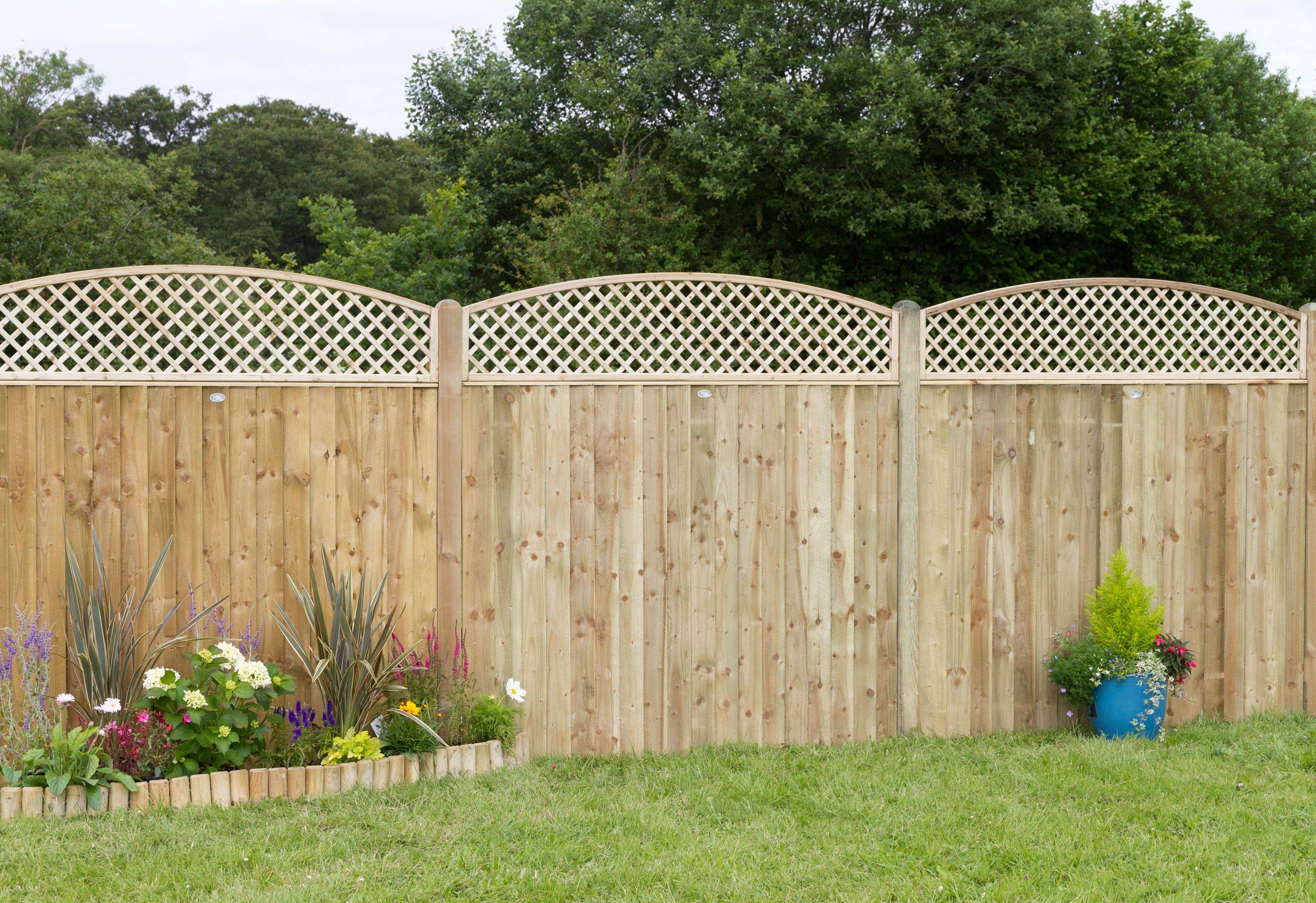 A Trellis Privacy Screen