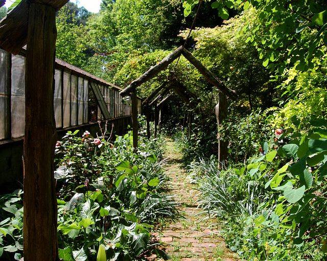 Savannah Private Garden