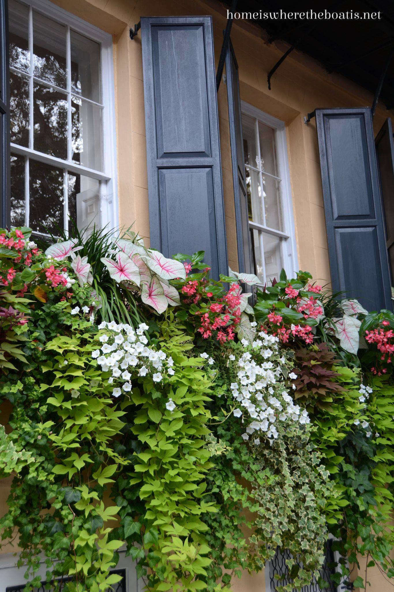 Charlestons Most Beautiful Parks