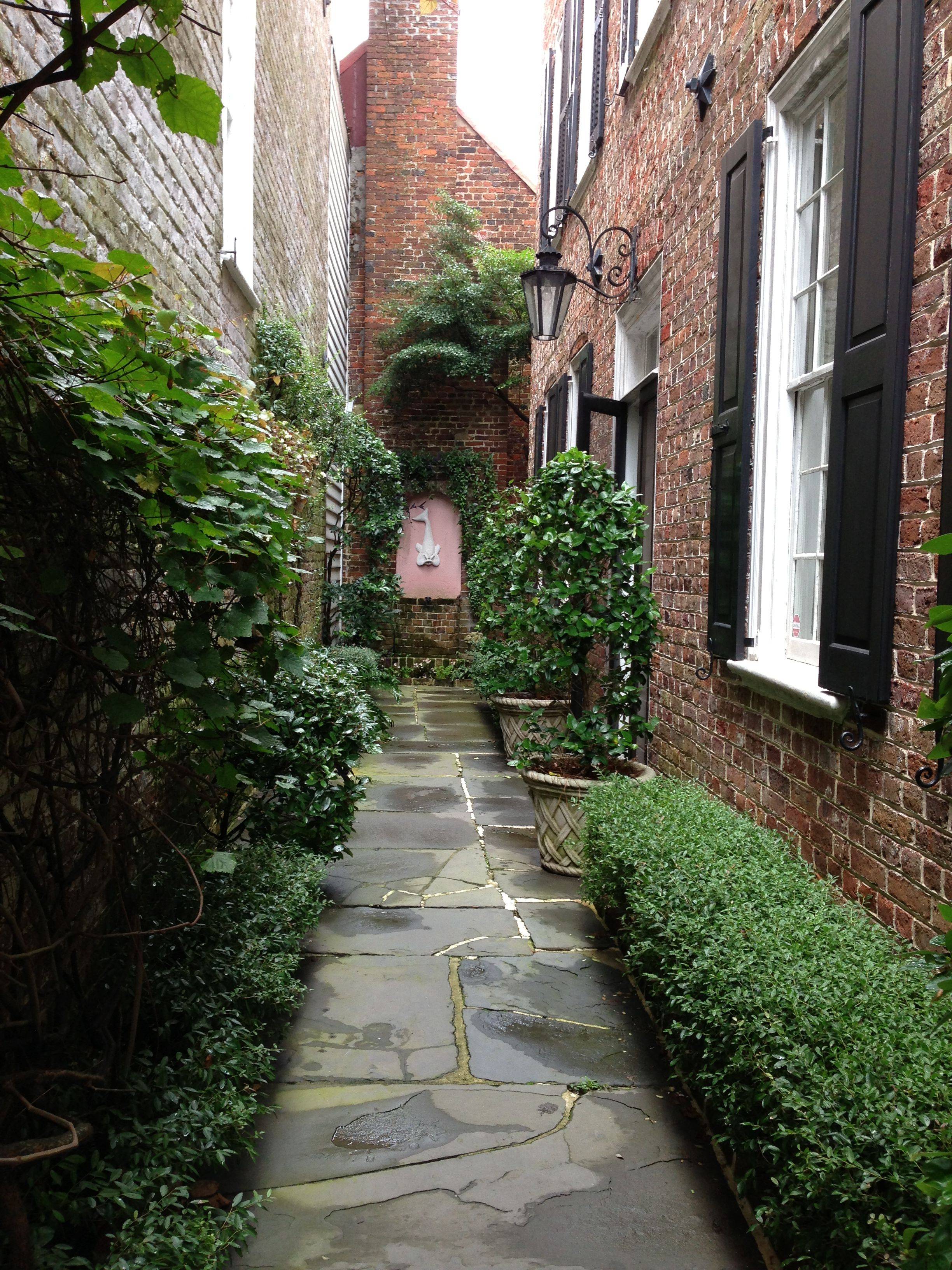 Charleston Montagu St Garden