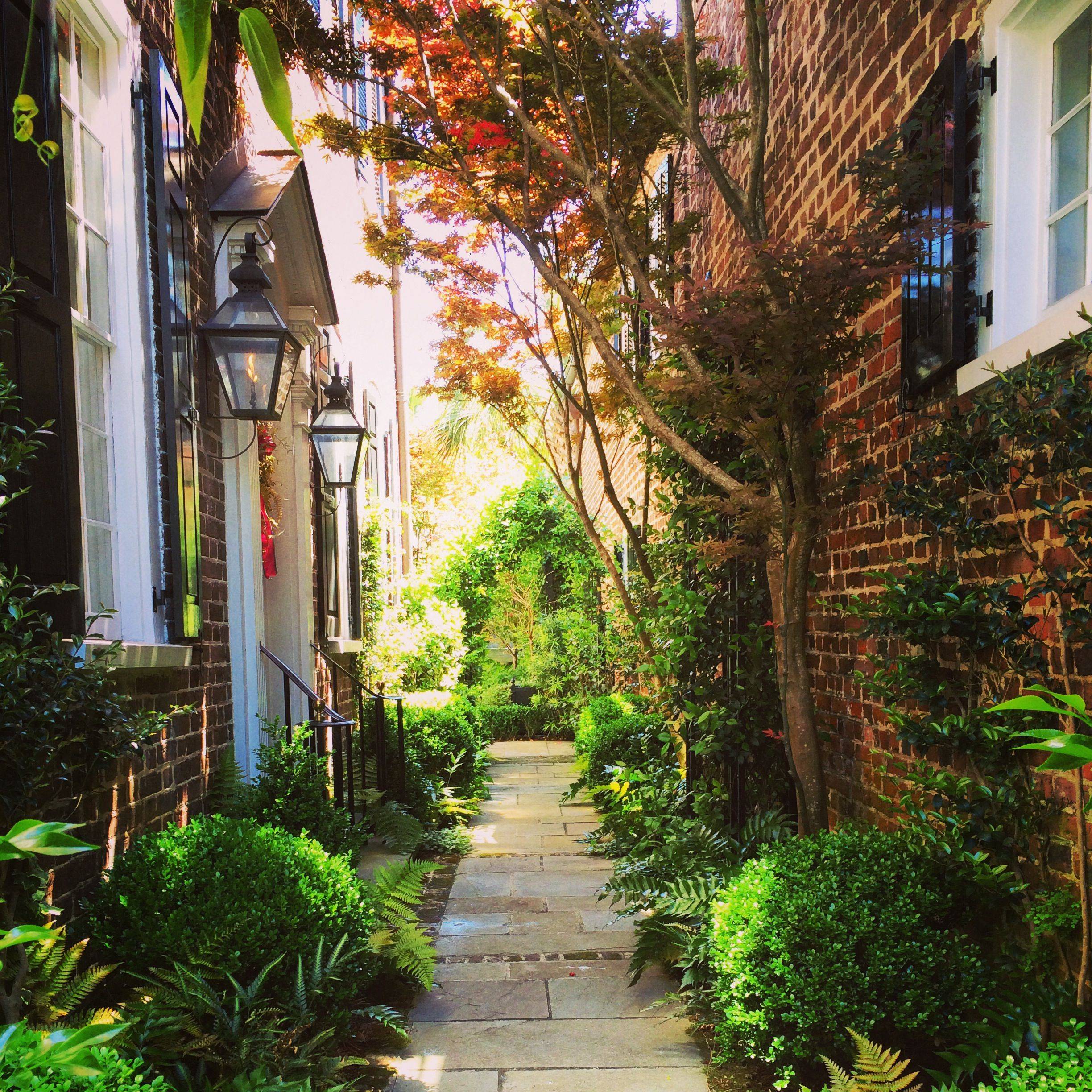 17 Most Beautiful Garden in Charleston SC Ideas To Try This Year