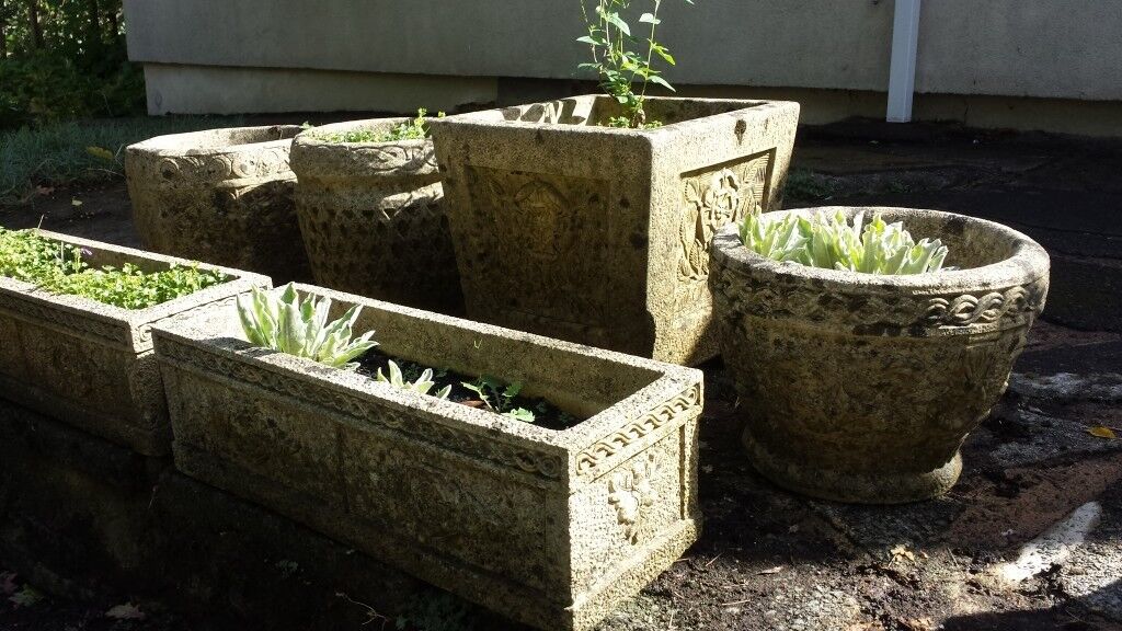 Builtin Concrete Planters