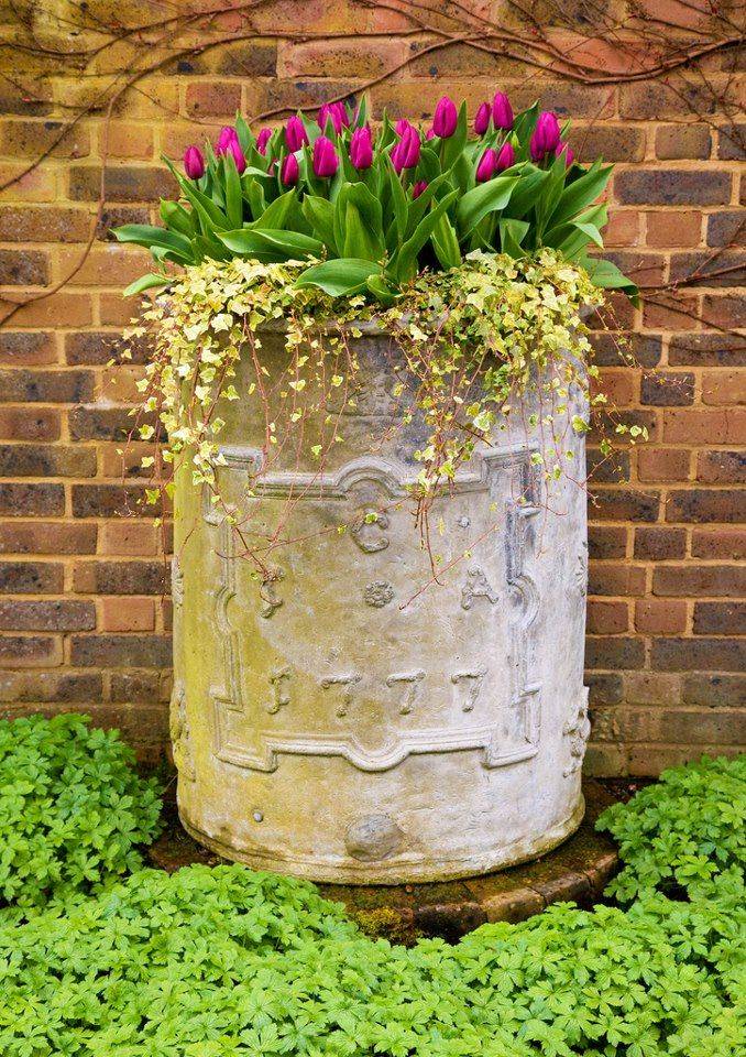 Builtin Concrete Planters