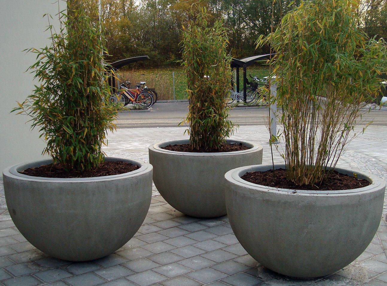 Tall Pots Planters Ideas